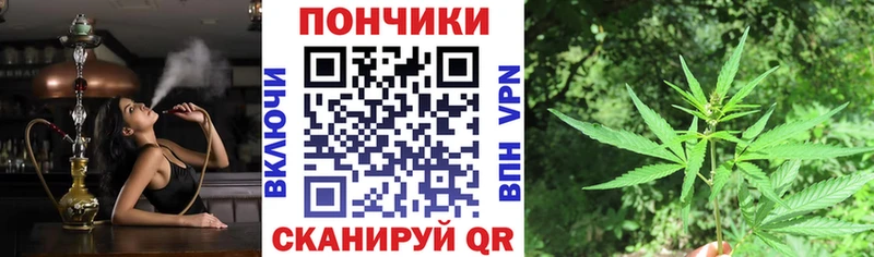 Где купить Пустошка NBOMe Меф Гашиш Канабис A-PVP БУТИРАТ