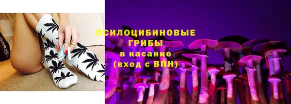 гидра Арсеньев