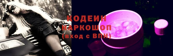 гидра Арсеньев