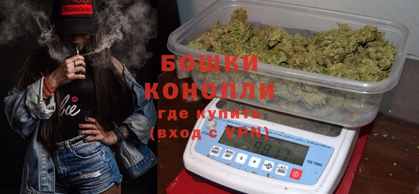 гидра Арсеньев