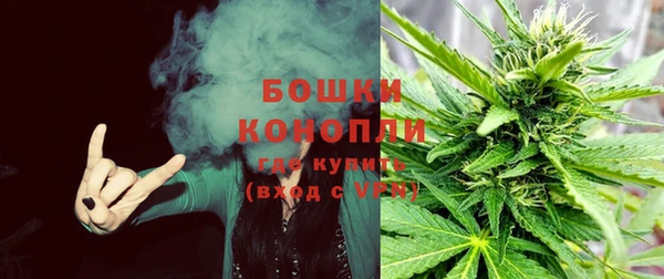 гидра Арсеньев