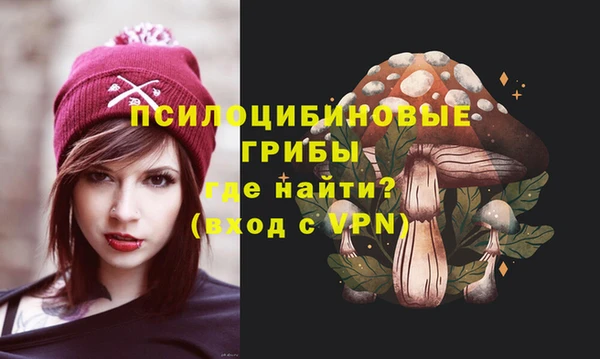 дмт Армянск