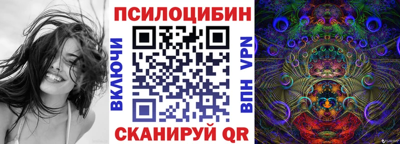 Псилоцибиновые грибы мицелий  Пустошка 